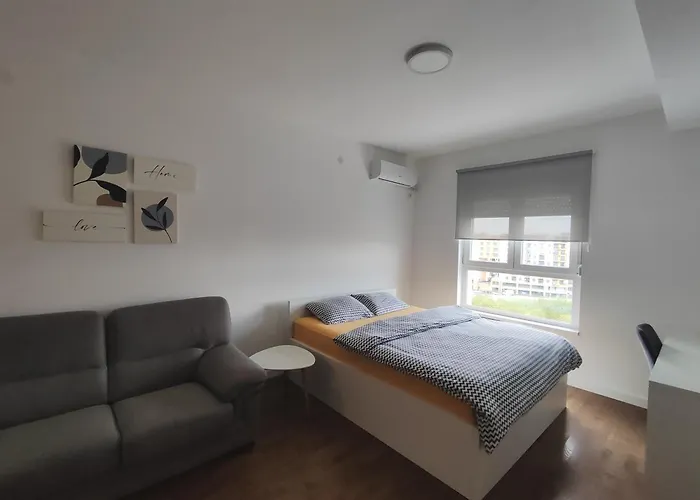 Djokic Novi Bubanj Kragujevac