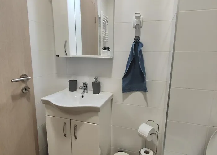 Apartman Djokic Novi Bubanj
