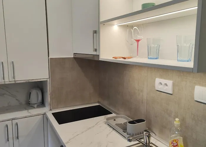 Djokic Novi Bubanj *